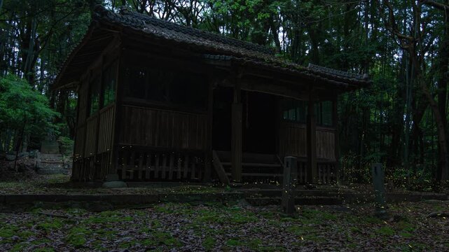 神社の拝殿とヒメボタル