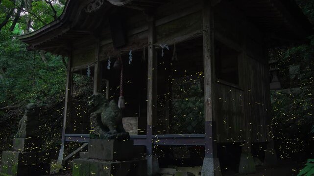 山の中の神社とヒメボタル