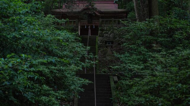 山の中の神社とヒメボタル