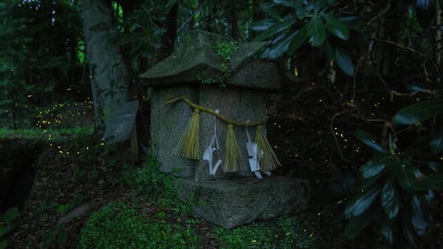 森の中の石祠とヒメボタル