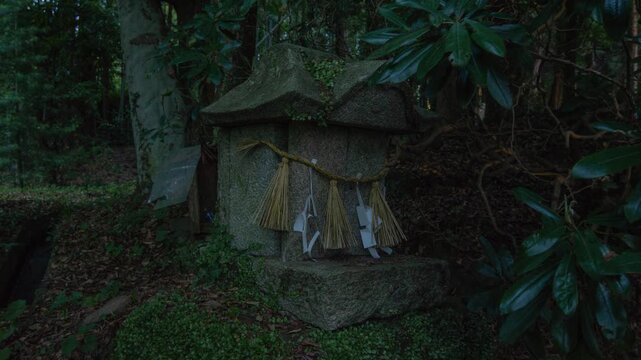 森の中の石祠とヒメボタル