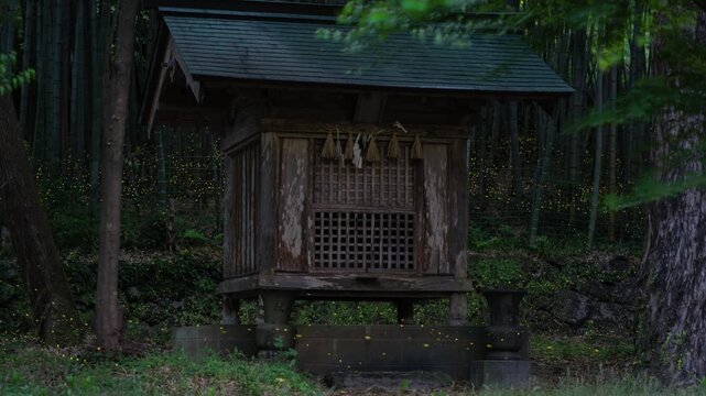 森の中の神社とヒメボタル