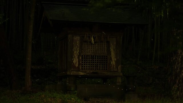 森の中の神社とヒメボタル