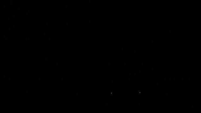 太宰府市のゲンジボタル