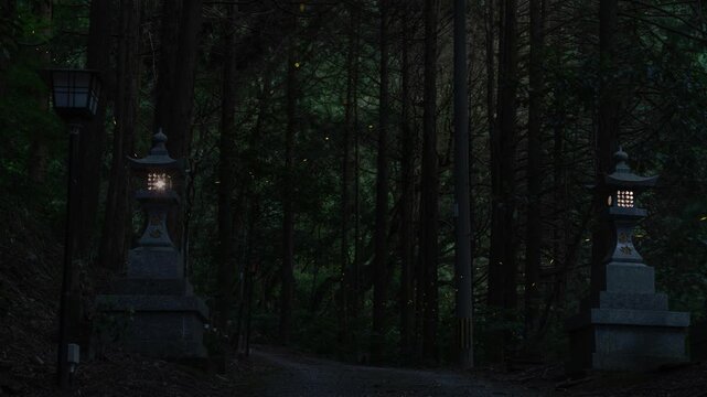 山の中の燈篭とヒメボタル