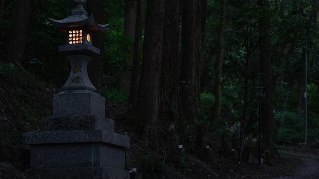 山の中の燈篭とヒメボタル