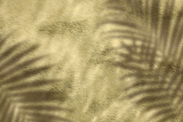 Obraz premium Shadow of palm leaves on clear shallow water and sand. Summertime