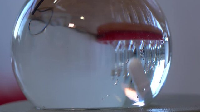 Close-up footage of a laboratory experiment with test tubes and glassware, featuring bubbling and mixing liquids. Scientific research process in a modern lab environment, showcasing chemical reactions
