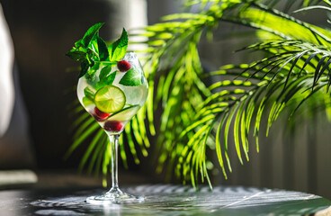 Obraz premium Royal mojito alcoholic cocktail drink with rum and prosecco. Tropical summer bar concept with exotic palm leaf shadows.