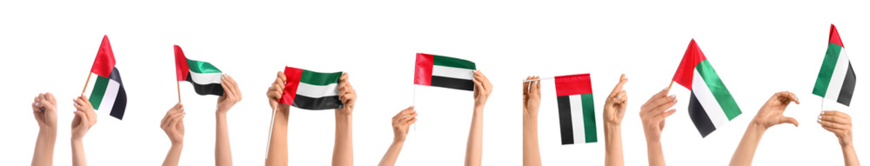 Fototapeta premium Hands holding and waving United Arab Emirates flags