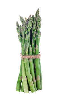 Fresh green asparagus, closeup object. Isolated on transparent background