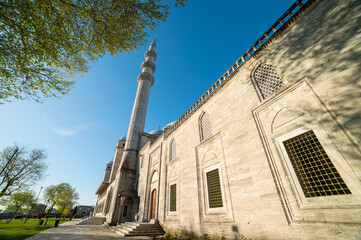 Fototapeta premium old ottoman building in the city of istanbul with a clear sky, a tree with windows and a minaret.