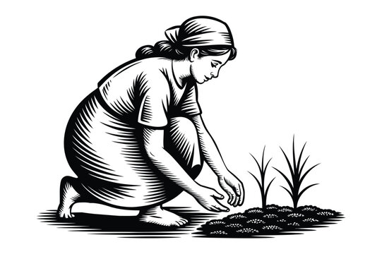 Illustration of a peasant woman planting crops in the field with planting, crouching
