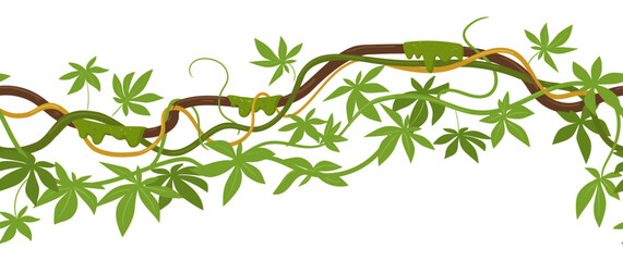 Obraz premium Tropical vine border. Horizontal leafy branch with climbing vines flat vector illustration. Botanical decorative border