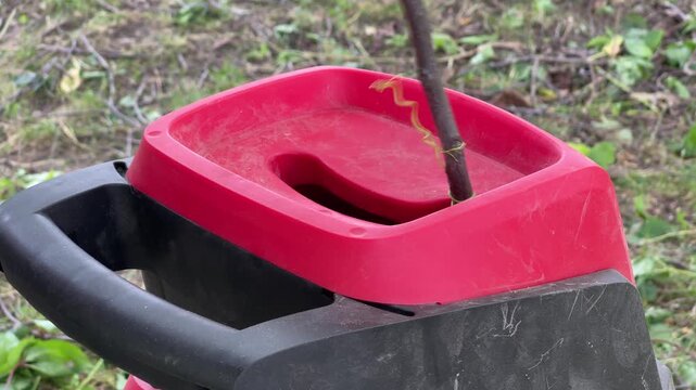 Feeding thick branch into a red garden wood chipper shredder