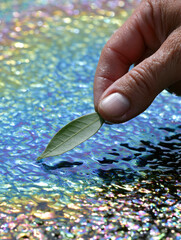 Naklejka premium Iridescent puddle human hand green leaf oil sheen close up macro photography rainbow color water surface reflection natural light
