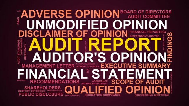 Audit Report Word Cloud