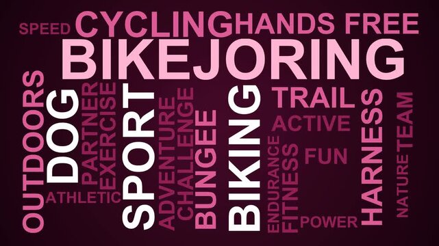 Bikejoring Word Cloud