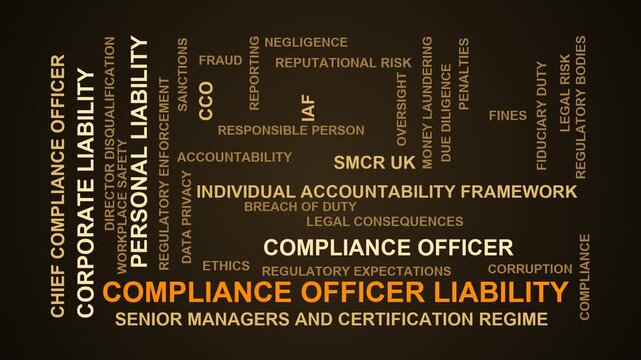 Compliance Officer Liability Word Cloud