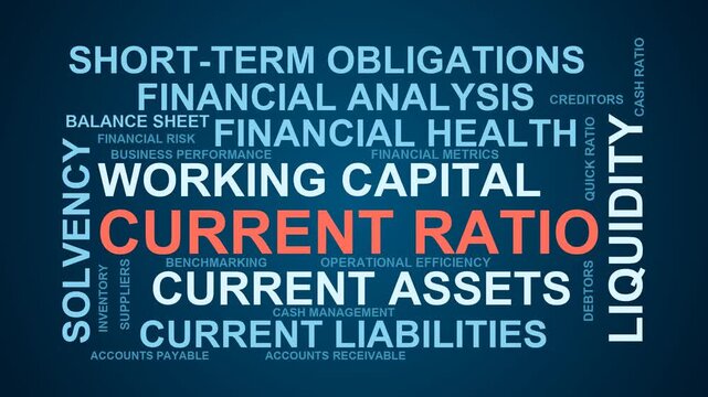 Current Ratio Word Cloud