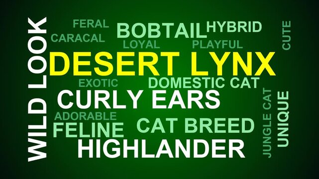 Desert Lynx Word Cloud