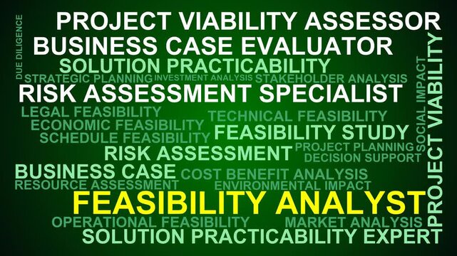 Feasibility Analyst Word Cloud