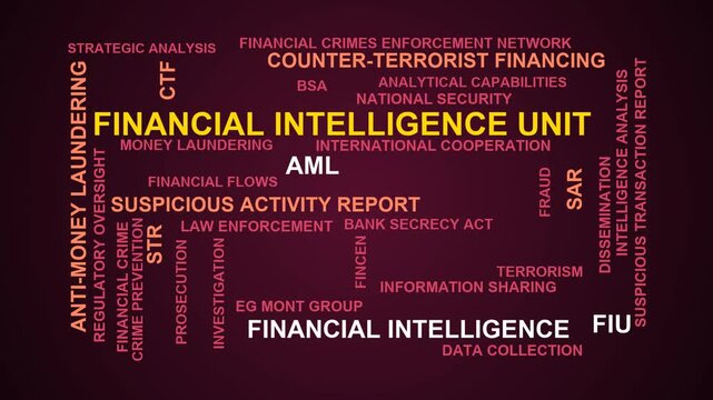 Financial Intelligence Unit Word Cloud
