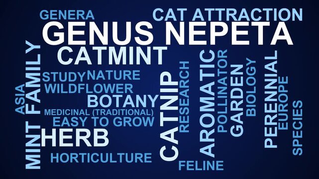Genus Nepeta Word Cloud