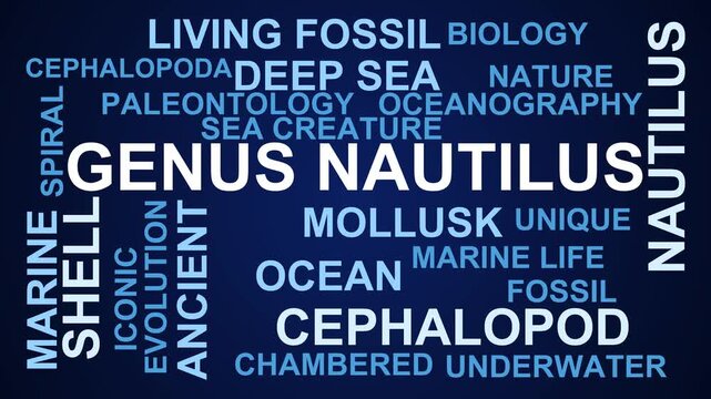 Genus Nautilus Word Cloud