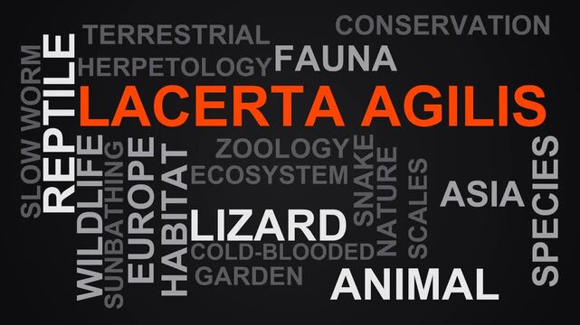 Lacerta Agilis Word Cloud