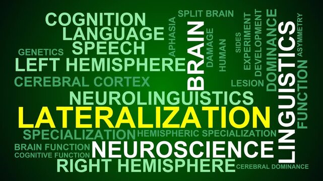 Lateralization Word Cloud