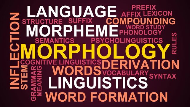 Morphology Word Cloud