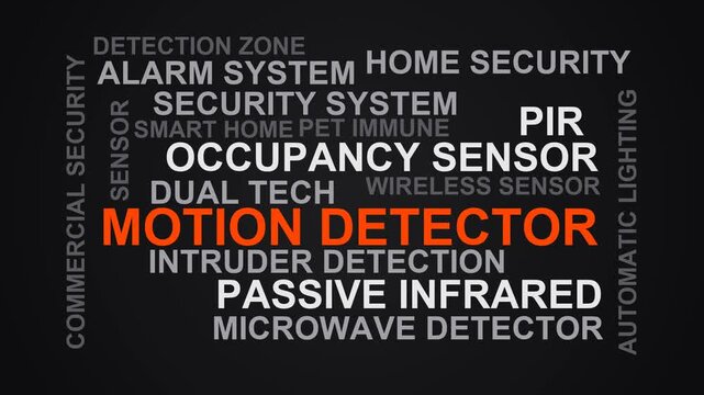 Motion Detector Word Cloud