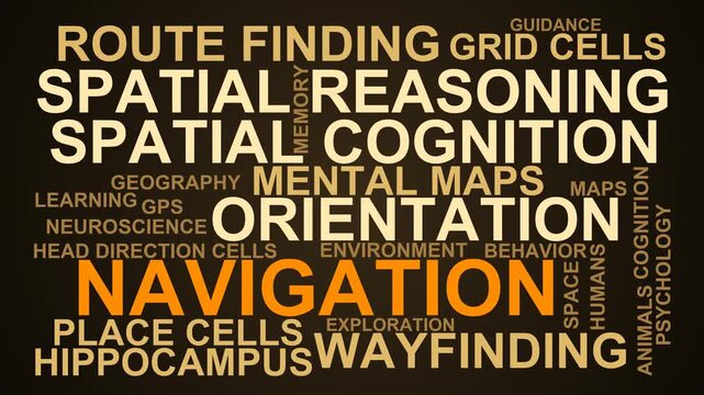 Navigation Word Cloud