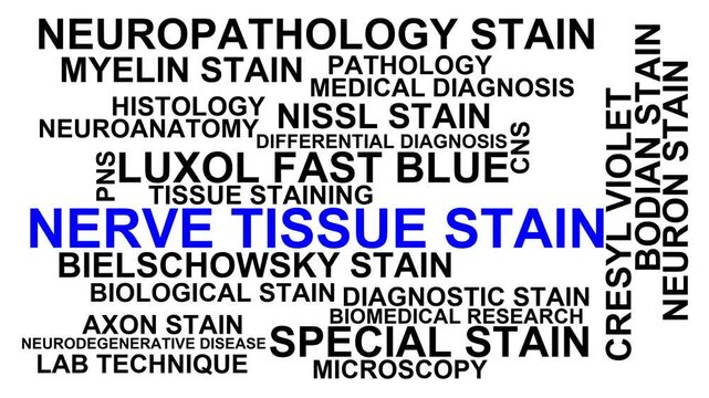 Nerve Tissue Stain Word Cloud