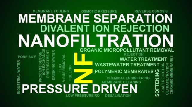 Nf Word Cloud