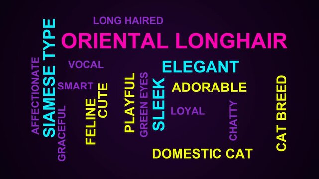 Oriental Longhair Word Cloud