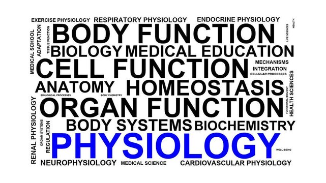 Physiology Word Cloud