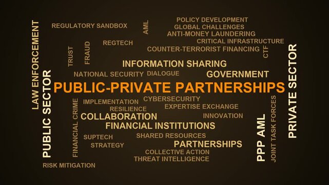 Public-Private Partnerships Word Cloud