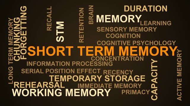 Short Term Memory Word Cloud