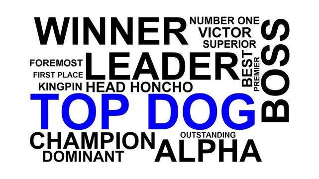 Top Dog Word Cloud