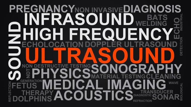 Ultrasound Word Cloud