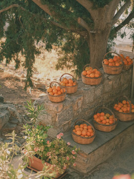 Baskets of freshly picked oranges on stone walls, Rhodes, Greece