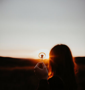 Silhouette of a person holding a dandelion against a glowing sunset, hope and wishes concept