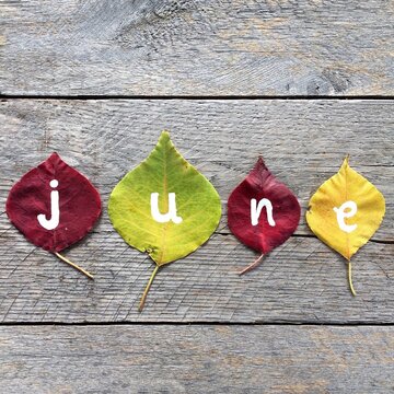 Overhead view of the word June spelled out on four colourful leaves on a wooden table