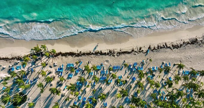 Aerial View Of Tropical Beach Resort With Palm Trees And Lounge Chairs On White Sand Shoreline Punta Cana Dominican republic