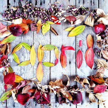 Overhead view of assorted flowers and leaves surrounding the word April spelled out using colourful leaves on a wooden table