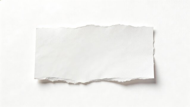 Torn white paper sheet on plain background