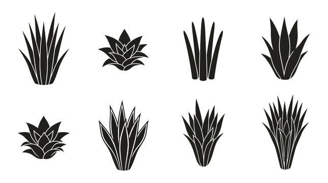 Flat vector icon set featuring six snake plants: tall Sansevieria, dwarf snake plant, cylindrical snake plant, bird's nest snake plant, variegated snake plant, clustered snake plant in planter