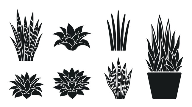 Flat vector icon set featuring six snake plants: tall Sansevieria, dwarf snake plant, cylindrical snake plant, bird's nest snake plant, variegated snake plant, clustered snake plant in planter